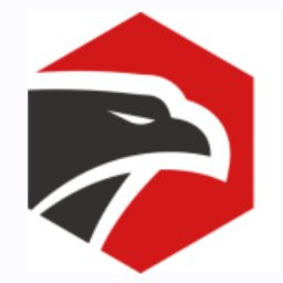 Precision Security Team LLC