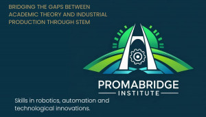 Promabridge institute