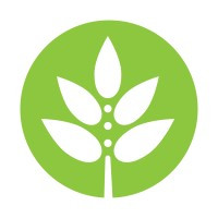 HollisterStier Allergy