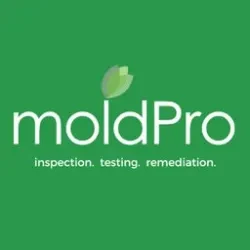 MoldPro