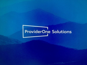 ProviderOne Solutions