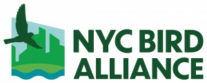 NYC Bird Alliance