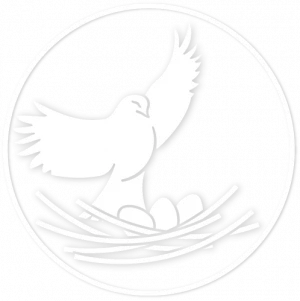 Gray Jay Counselling