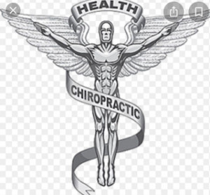 Nelson and Nelson Chiropractic Centers, Inc.