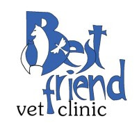 Best Friend Vet Clinic