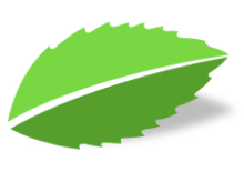 Vaksman Dental Group