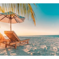 Business Trips By Elite Co