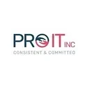 pro it