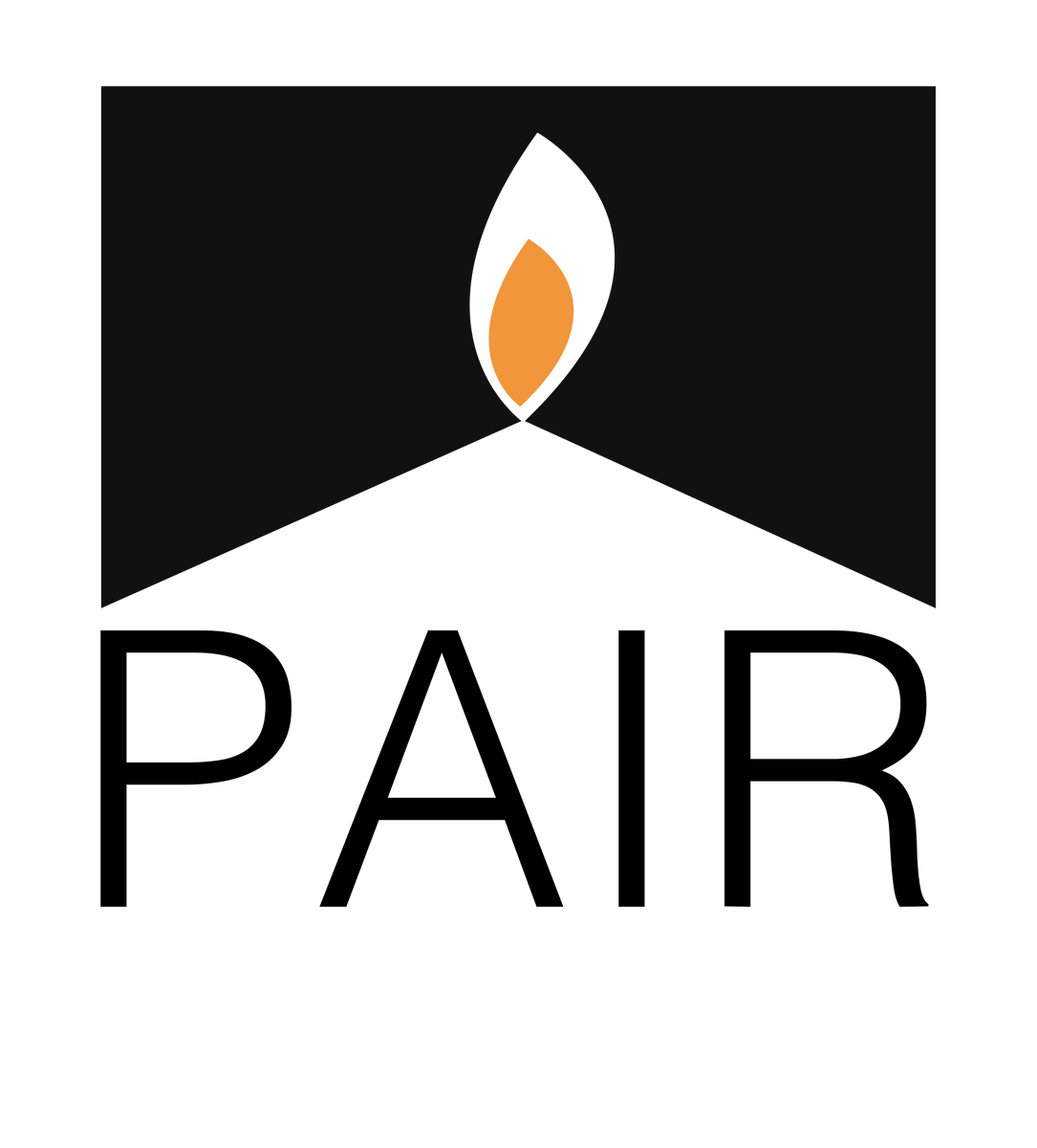 Political Asylum Immigration Representation Project