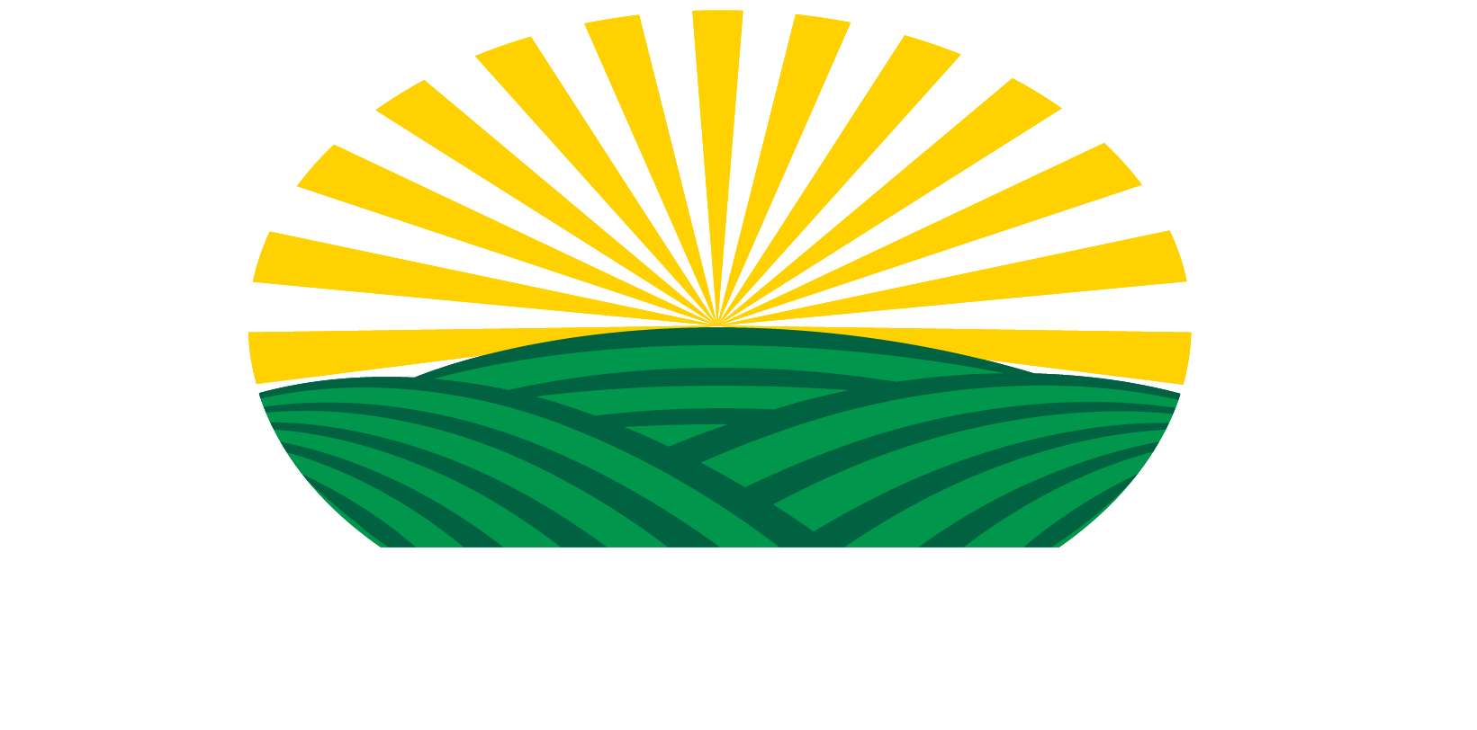 Co Alliance Llp