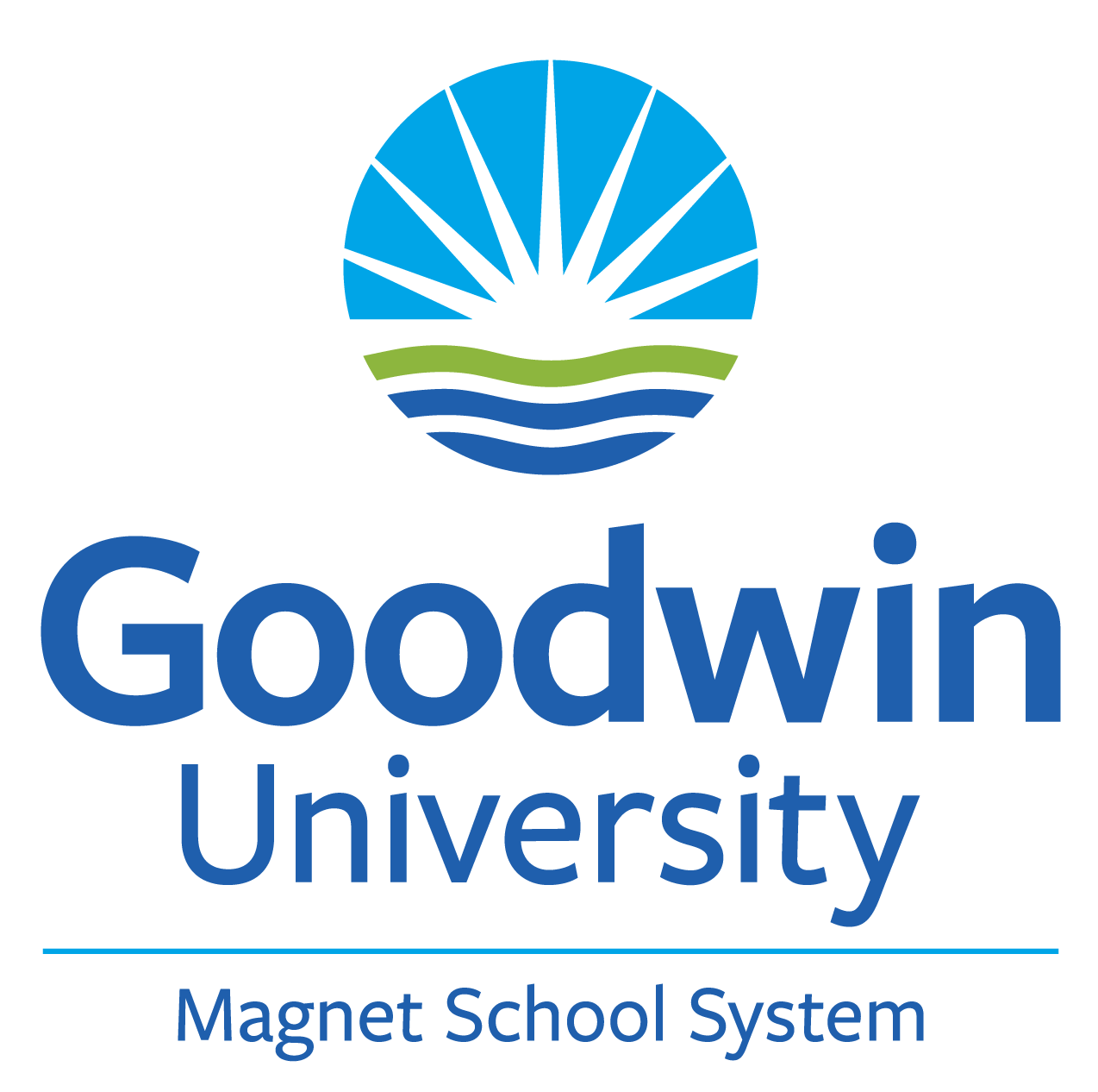 GOODWIN UNIVERSITY EDUCATIONAL SERVICES INC