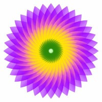 Future Forward Technologies (FFT)