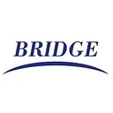 Bridge Professional Services