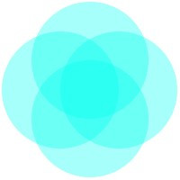 Ikigai Labs