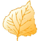 Goldleaf Development, LLC