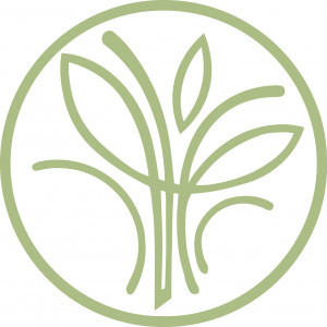Holistic Family Chiropractic