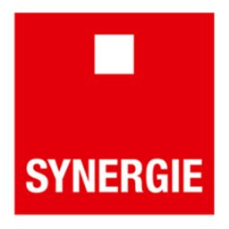 Synergie Italia S.p.a.