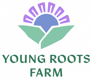 Young Roots Farm - Camp Amy Molson