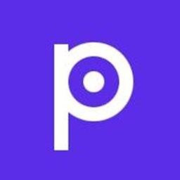 Pilot