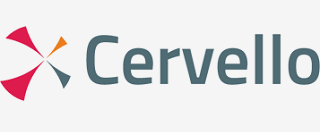 Cervello Inc