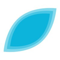 Intuitive AI