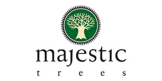 Majestic Trees