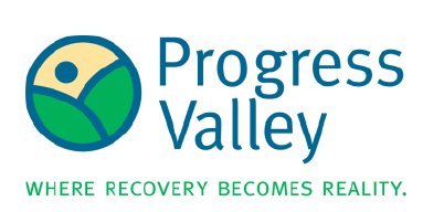 Progress Valley Inc