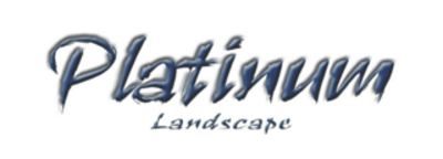 Platinum Landscape