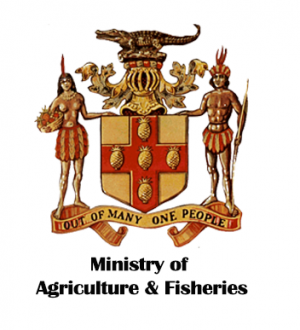 Ministry of Agriculture and Fisheries