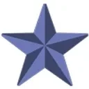 The Military Veteran