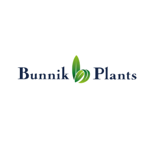 Bunnik Group