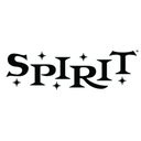 Spirit Halloween