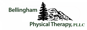 Bellingham Physical Therapy image