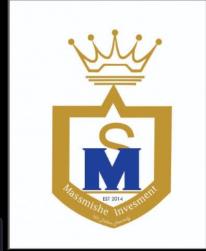 massmishe investment limited