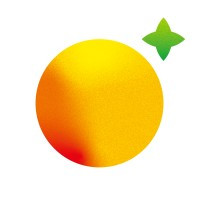 Orange Inc.