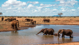 Kenya eTA