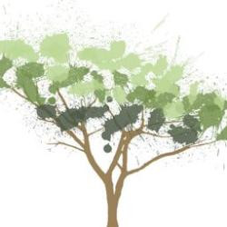 Chestnut Woods Rehabilitation & Healthcare Center