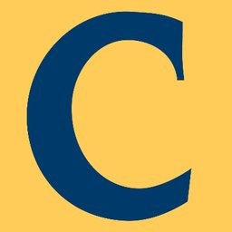 Cambridge International Systems Inc