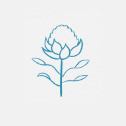The Waratah Centre