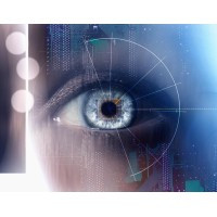 Selective Investigations Inc