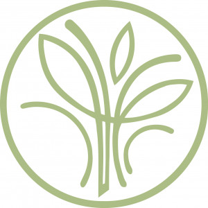 Holistic Family Chiropractic image