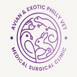 Avian & Exotic Philly Vet Medical Surgical Clinic