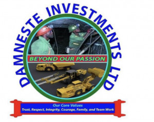 Damneste Investments Limited
