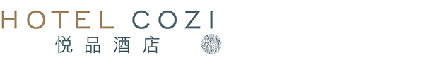Hotel COZi