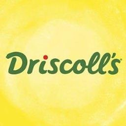 Driscoll's, Inc.