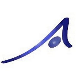 Advanced Decision Vectors, LLC
