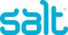 Salt Staffing Inc.