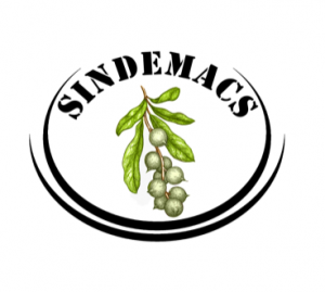 Losacco & Company Farm