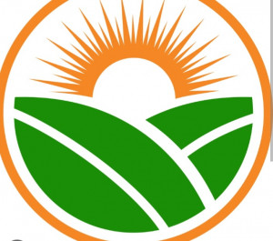 Afroplant Agriculture limited