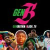 BA Diversity Media Inc